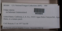 Image Associated With the Occurence